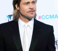 brad pitt 2012