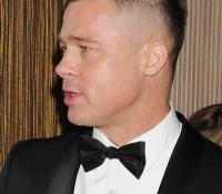 brad pitt 2014