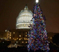 arbol-de-Navidad-en-el-Capitolio