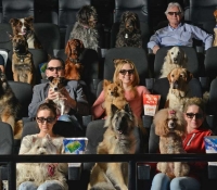 perros-en-el-cine