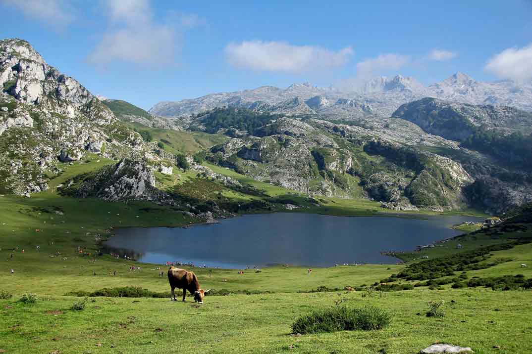 asturias-picos-europa