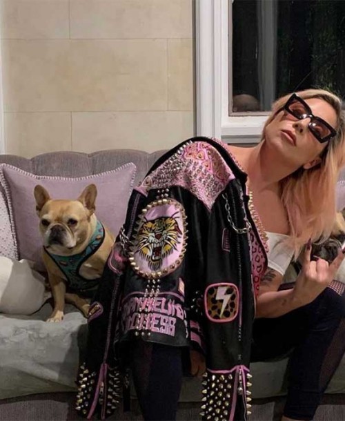 Lady Gaga ofrece más de 400.000 euros de recompensa por sus perros robados