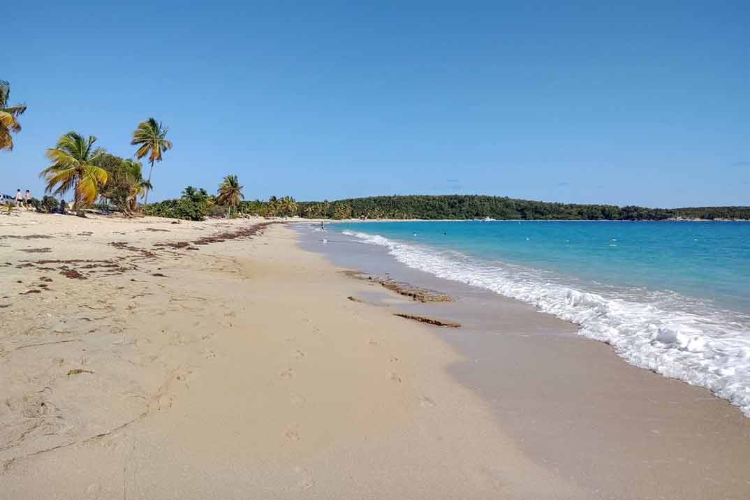 Puerto-Rico-Vieques-playa-Sun-Bay