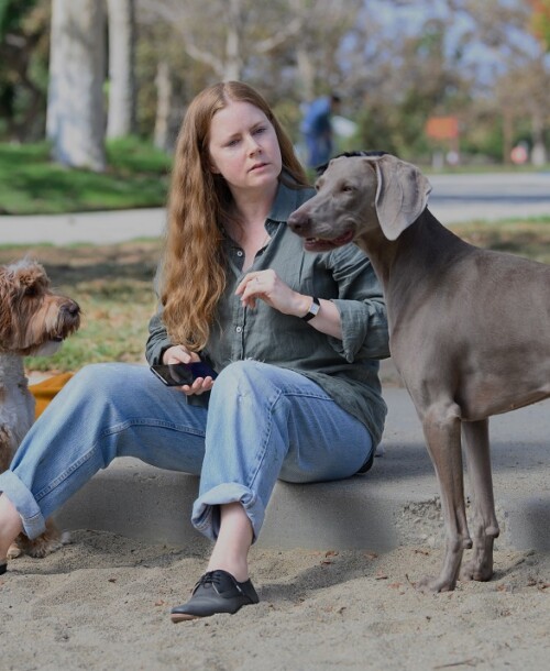 “Canina”, con Amy Adams – Tráiler y fecha de estreno en Disney+