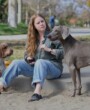 “Canina”, con Amy Adams – Tráiler y fecha de estreno en Disney+