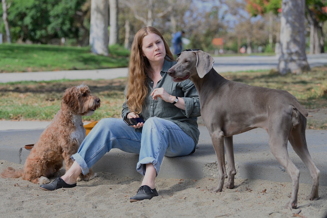 “Canina”, con Amy Adams – Tráiler y fecha de estreno en Disney+