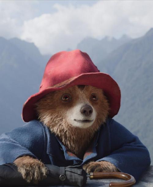 “Paddington: aventura en la selva” – Tráiler y fecha de estreno