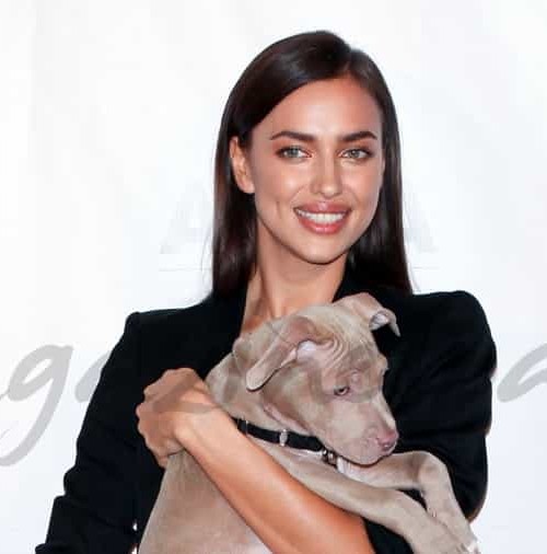 Irina Shayk, solidaria con los animales